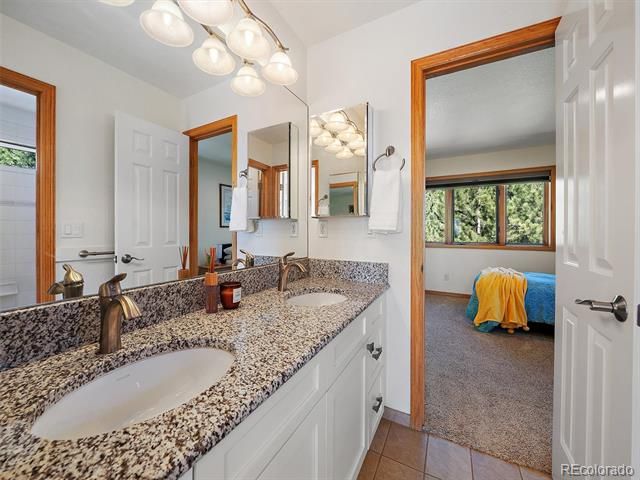 1584 Bierstadt Court, Evergreen, CO 80439