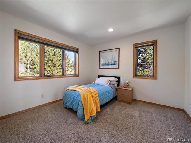 1584 Bierstadt Court, Evergreen, CO 80439