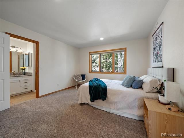 1584 Bierstadt Court, Evergreen, CO 80439