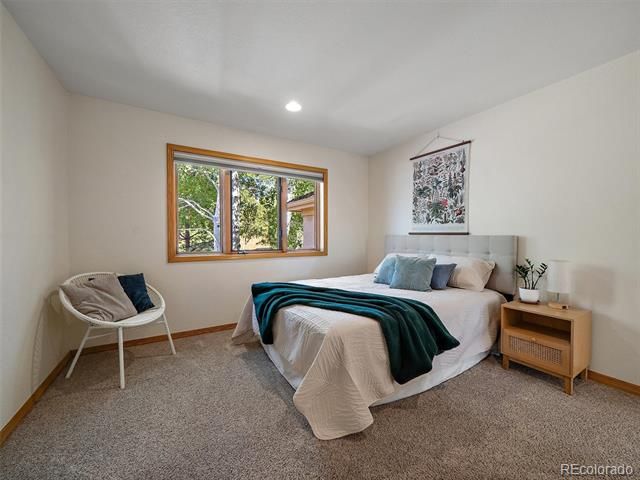 1584 Bierstadt Court, Evergreen, CO 80439