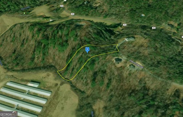285 Cherry Log Trail, Cherry Log, GA 30522