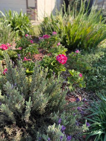 2056 Elwin Way, Modesto, CA 95350