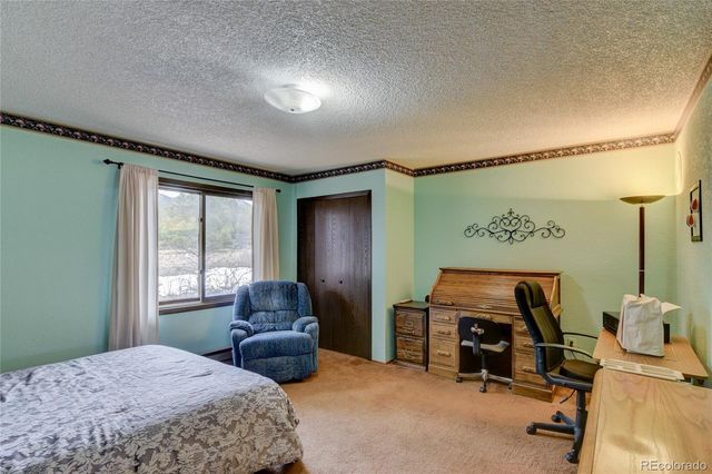 30520 Overlook Run, Buena Vista, CO 81211