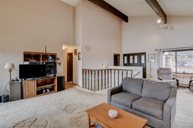 30520 Overlook Run, Buena Vista, CO 81211