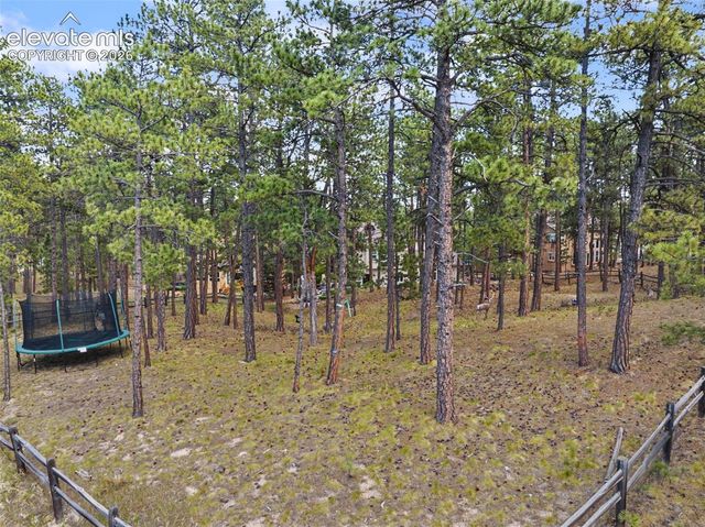 1360 Pawprint Court, Colorado Springs, CO 80921