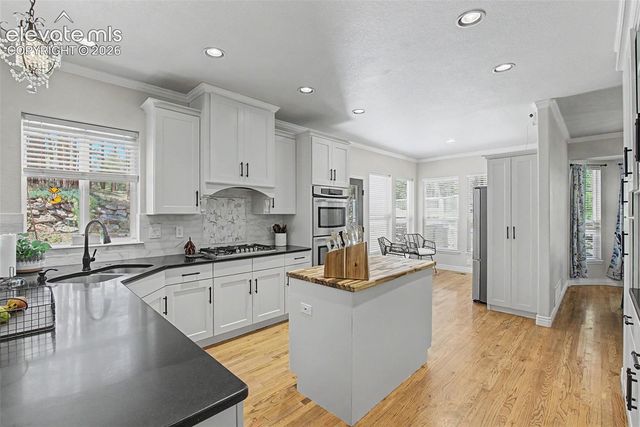 1360 Pawprint Court, Colorado Springs, CO 80921