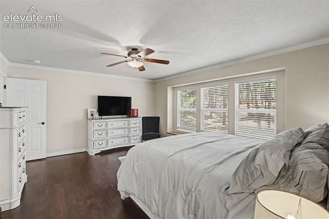 1360 Pawprint Court, Colorado Springs, CO 80921