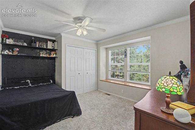 1360 Pawprint Court, Colorado Springs, CO 80921