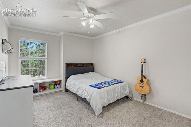 1360 Pawprint Court, Colorado Springs, CO 80921