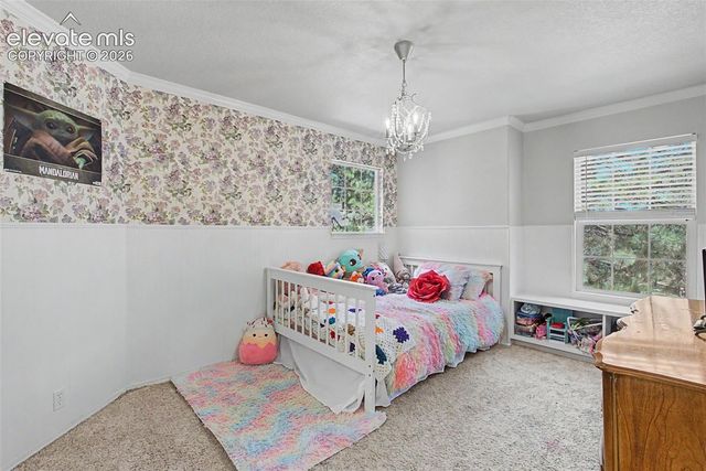 1360 Pawprint Court, Colorado Springs, CO 80921