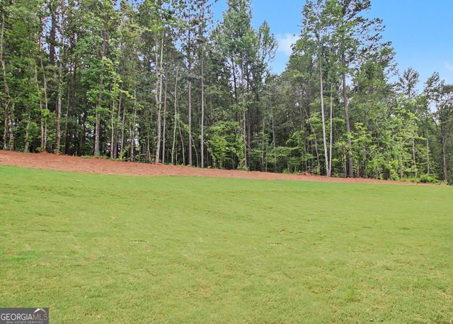 124 Ryeland Drive, Senoia, GA 30276