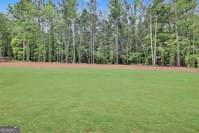124 Ryeland Drive, Senoia, GA 30276