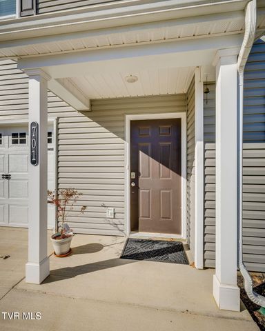 701 Newtons Way, Kingsport, TN 37663