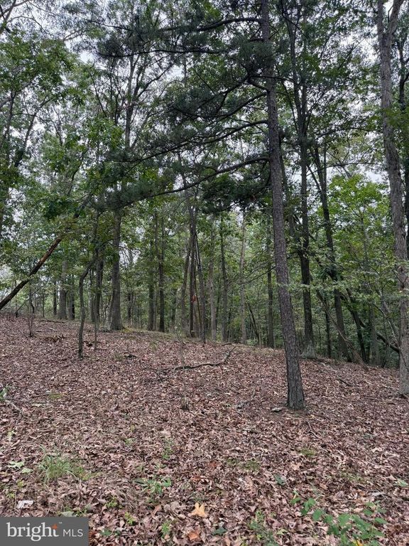MIDDLE RIDGE RD, Romney, WV 26757