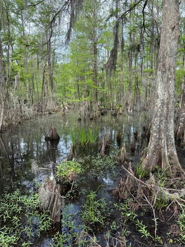 290 Bayou Tranquille Rd, Pierre Part, LA 70339