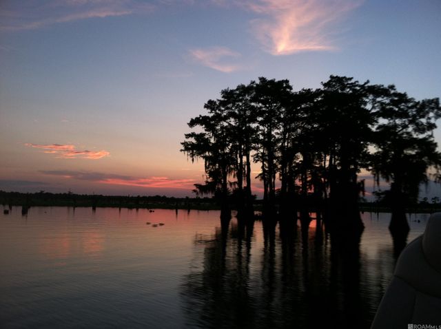 290 Bayou Tranquille Rd, Pierre Part, LA 70339