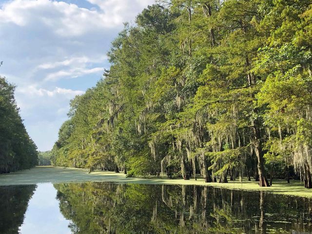 290 Bayou Tranquille Rd, Pierre Part, LA 70339