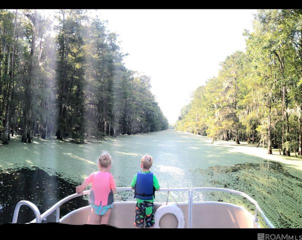 290 Bayou Tranquille Rd, Pierre Part, LA 70339