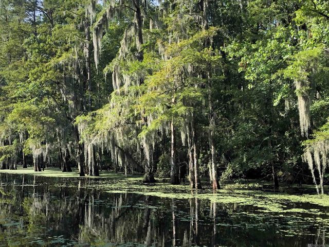 290 Bayou Tranquille Rd, Pierre Part, LA 70339