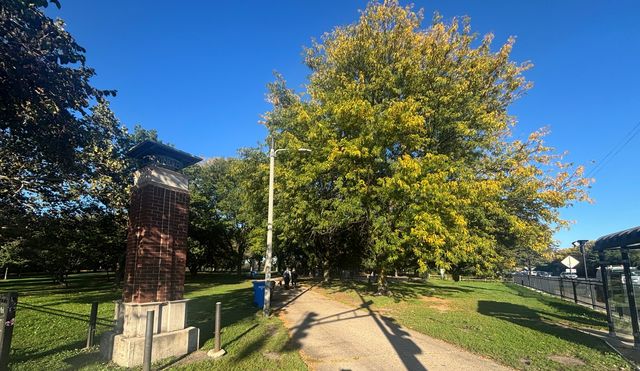 2920 W Berteau Avenue 2, Chicago, IL 60618