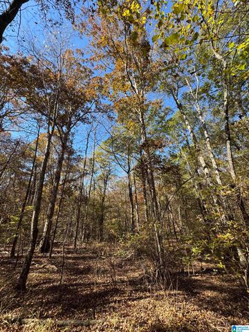 10000 HIGHWAY 216, Mccalla, AL 35111