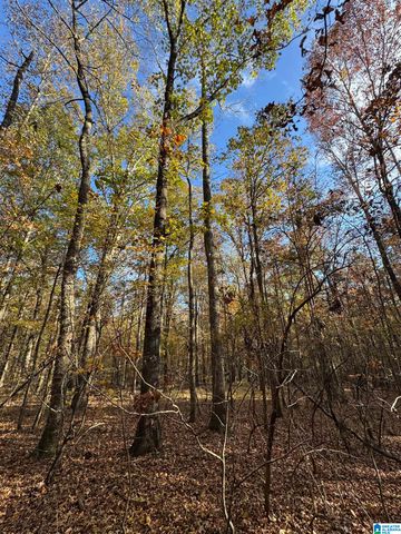 10000 HIGHWAY 216, Mccalla, AL 35111