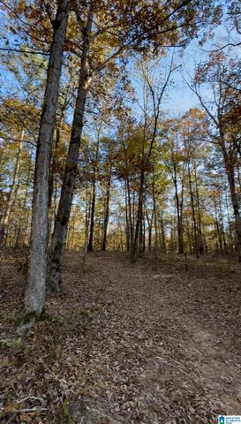 10000 HIGHWAY 216, Mccalla, AL 35111