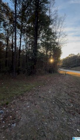 10000 HIGHWAY 216, Mccalla, AL 35111