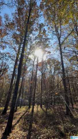 10000 HIGHWAY 216, Mccalla, AL 35111