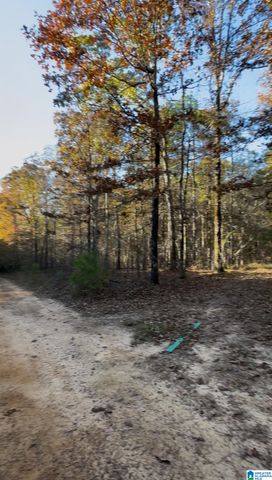 10000 HIGHWAY 216, Mccalla, AL 35111