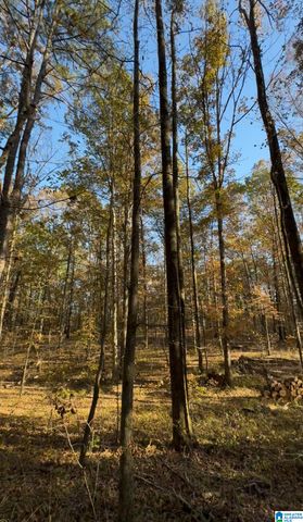 10000 HIGHWAY 216, Mccalla, AL 35111