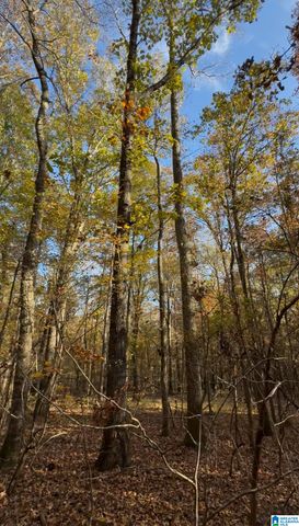 10000 HIGHWAY 216, Mccalla, AL 35111