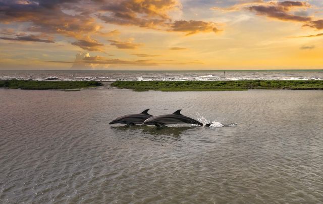 549 Private Road 675, Sargent, TX 77414