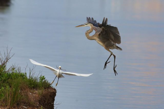 549 Private Road 675, Sargent, TX 77414