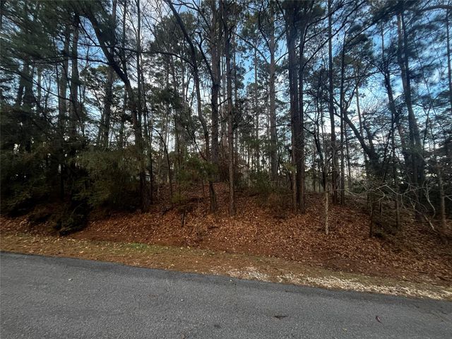 26 Sunny Hill Drive, Coldspring, TX 77331