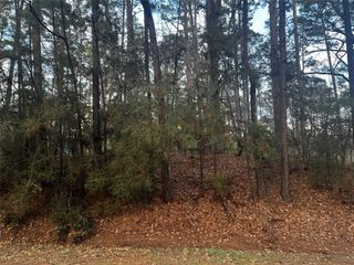 26 Sunny Hill Drive, Coldspring, TX 77331