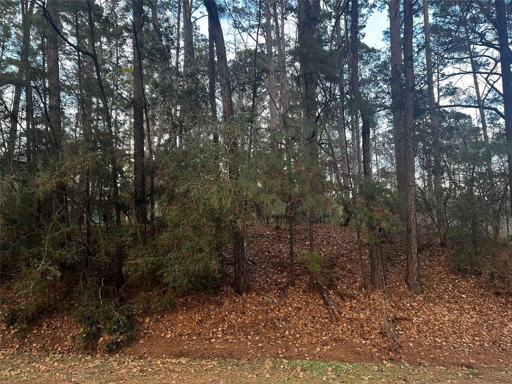 26 Sunny Hill Drive, Coldspring, TX 77331