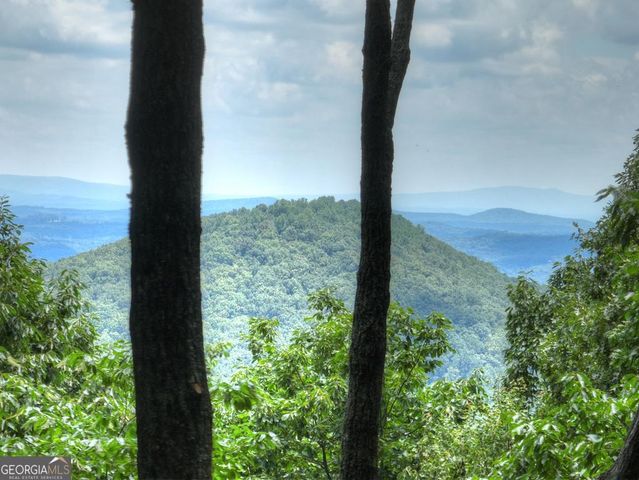 388 Walnut Ridge, Ellijay, GA 30536