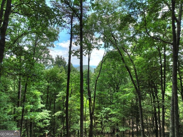 388 Walnut Ridge, Ellijay, GA 30536