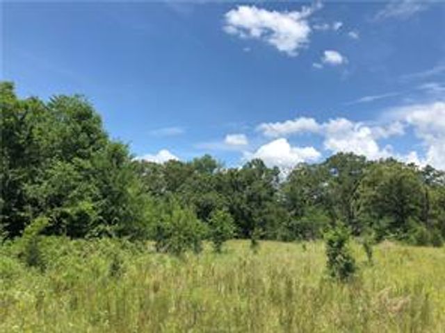 9825 County Road 173, Iola, TX 77861