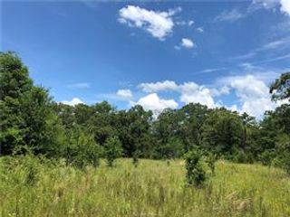 9825 County Road 173, Iola, TX 77861