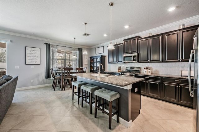 3233 CALVANO DRIVE, Land O Lakes, FL 34639