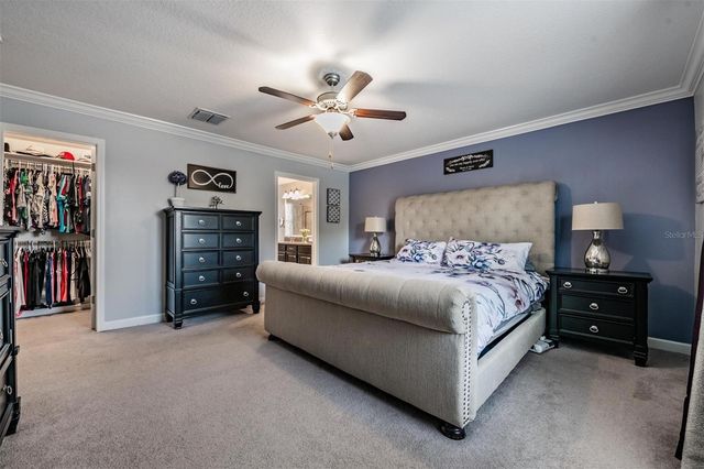 3233 CALVANO DRIVE, Land O Lakes, FL 34639