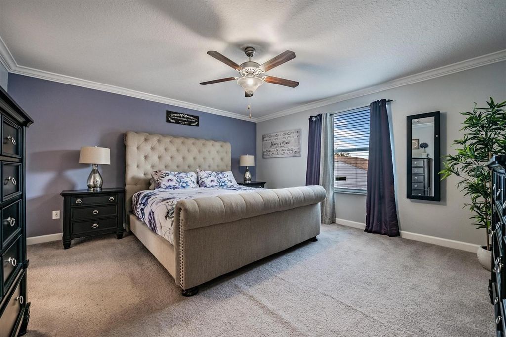 Image 24 of property listing at 3233 CALVANO DRIVE, Land O Lakes, FL 34639