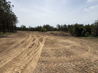 0 Hwy 231, Erin, TN 37061