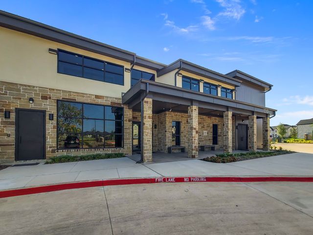 10595 Downy Cup Drive, Frisco, TX 75035