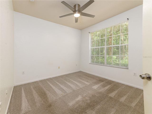 5125 PALM SPRINGS BOULEVARD 7108, Tampa, FL 33647