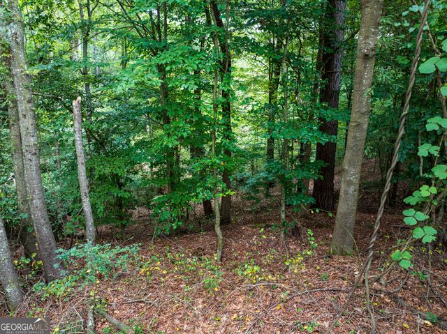 8.2 ACRES Roy Parks Road, Talmo, GA 30575