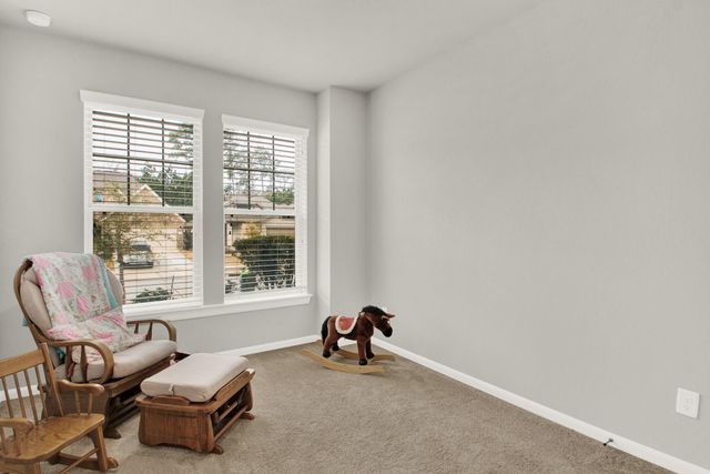 1338 Lakeside Creek Road, Magnolia, TX 77354