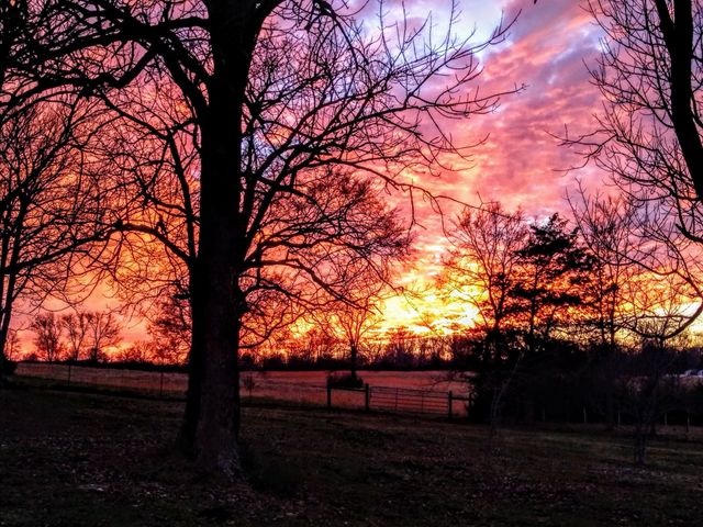 1723 Hwy 64 W, Shelbyville, TN 37160